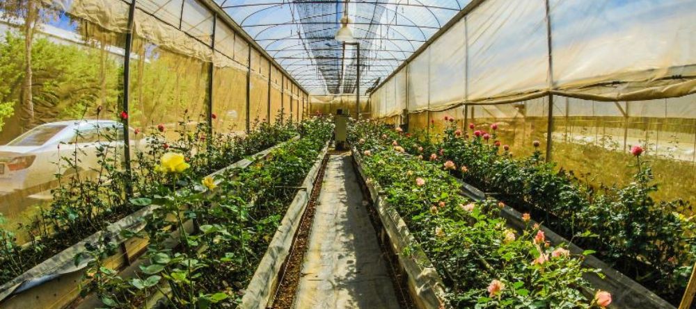 Tenda agrícola Maximizar a proteção e produção do seu cultivo