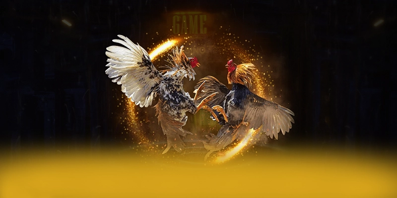 
Trải nghiệm tài xỉu online - Cổng cá cược an toàn tuyệt đối mới nhất hiện nay
