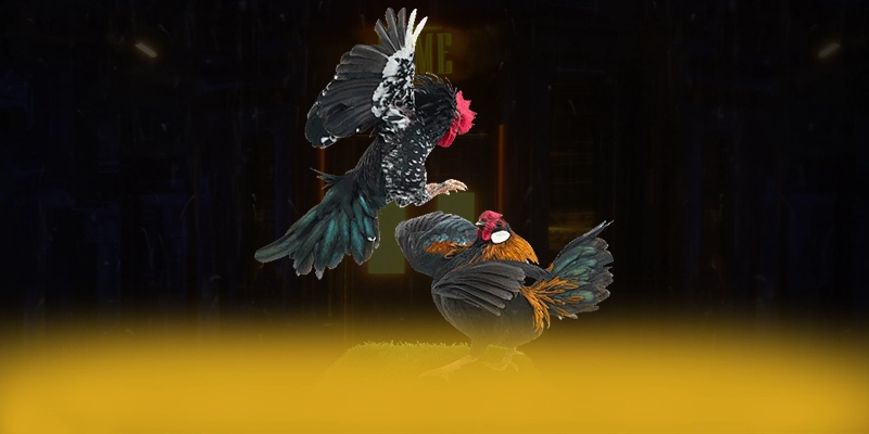 Khám phá KUWIN - Nhà cái được yêu thích nhất tại Việt Nam