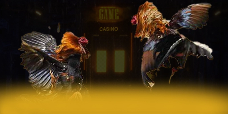 
Khám phá CONGA6789 - Cổng giải trí hàng đầu Việt Nam số 1 Việt Nam
