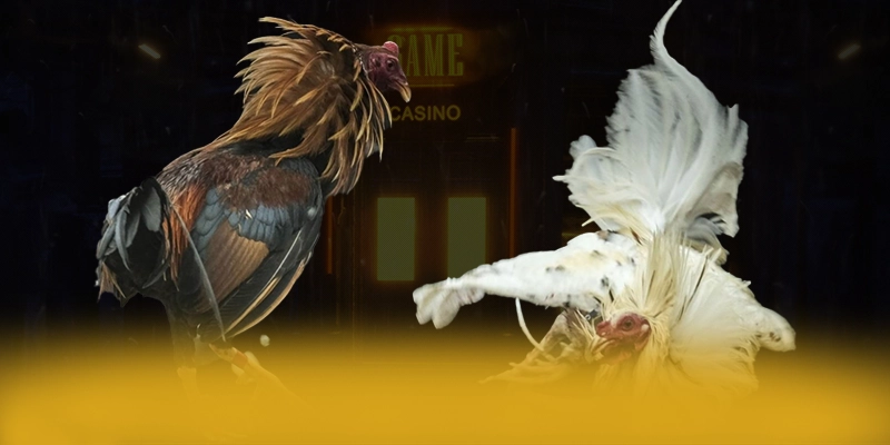 tài xỉu online - Sân chơi cực hot tại Việt Nam – Khám phá chương trình tài xỉu online