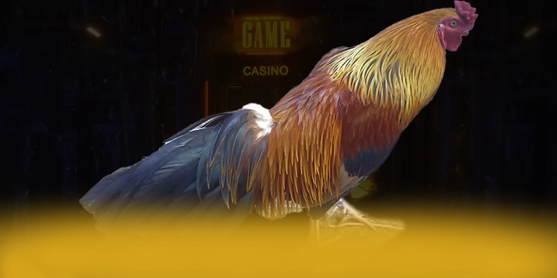 KUWIN - Thương hiệu game uy tín cam kết bảo vệ người chơi tuyệt đối được yêu thích hàng đầu – Khám phá cơ chế bảo mật hiện đại tại KUWIN