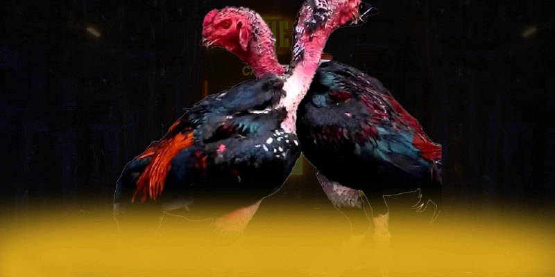 tài xỉu online - Thương hiệu hiện đại tại Việt Nam