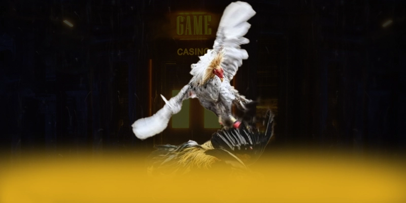 N88 - Sân chơi đạt chuẩn quốc tế trên thị trường – Khám phá độ uy tín của N88