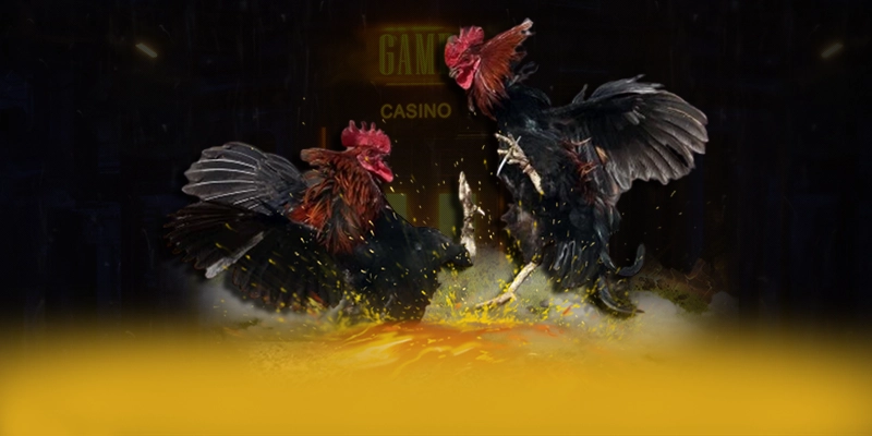 LC88 - Ứng dụng giải trí được cộng đồng yêu thích nhất được yêu thích nhất – Khám phá top LC88