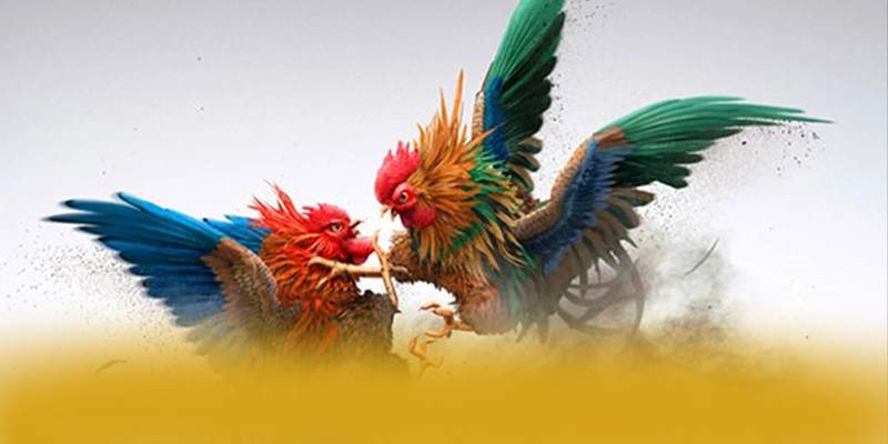 SUNWIN - Cổng trò chơi được yêu thích 2025