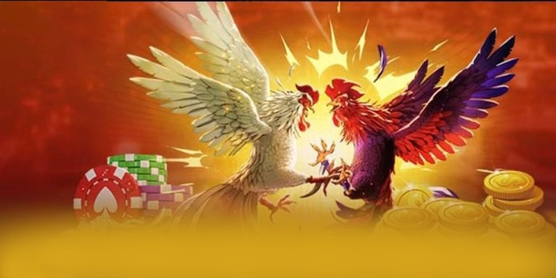 N88 - Thương hiệu được yêu thích 2025 – Điểm qua N88