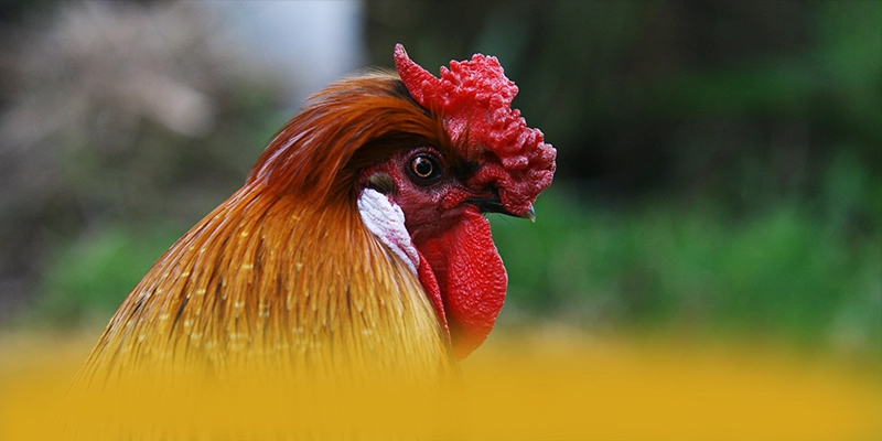 AU88 - Cổng trò chơi với phần thưởng siêu lớn hiện nay – Tìm hiểu khuyến mãi độc quyền của AU88