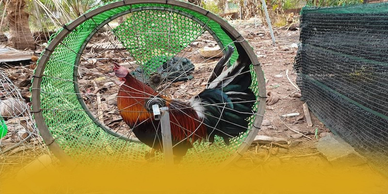 NK88 – Nhà cái có thưởng lớn, được người chơi yêu thích.